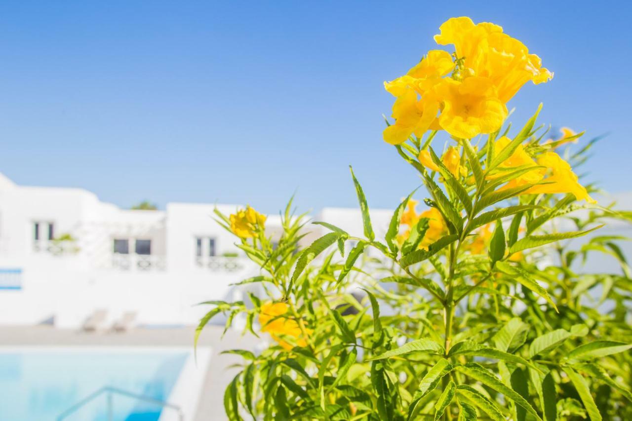 Flower Beach Suite 6 Playa Honda  Exteriér fotografie